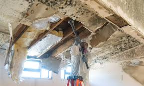 Mold Remediation for Rental Properties in Dublin, GA